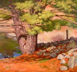 The Beaver Pond