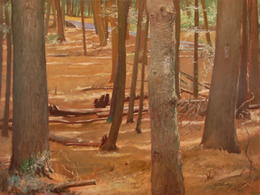 The Horse Trail