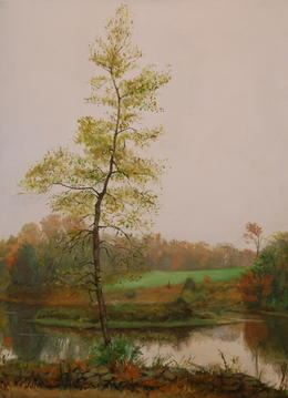 The Birches