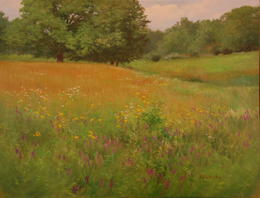 The Summer Field