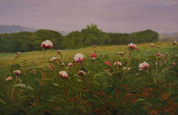 Peonies