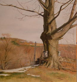 The Maple Tap