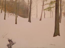 Soft Snow