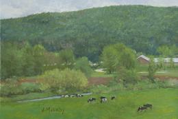 Cows